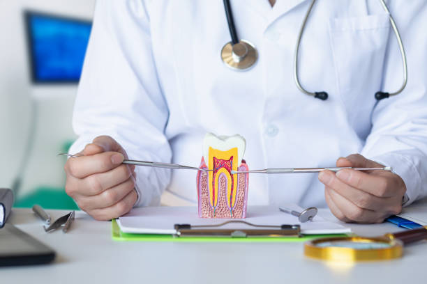 Best Urgent Care for Lost Fillings or Crowns in Tuscumbia, AL